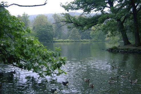 Ferienwohnung Und Pension Guertler Mohlsdorf Екстер'єр фото